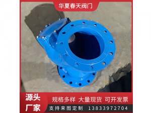 閥門過濾器